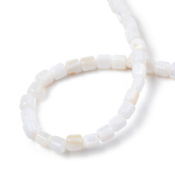 Freshwater Shell Natural Freshwater Shell Beads Strands, Column, 3.5x3.5mm, Hole: 0.8mm, about 111~112pcs/strand, 14.76 inch~14.96 inch(37.5~38cm)