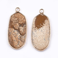 Picture Jasper Natural Picture Jasper Pendants, with Brass Findings, Oval, Golden, 36~37x15~16x3~4mm, Hole: 2mm