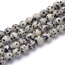 Jaspe Dalmate Dalmatien naturel Jasper brins de perles, ronde, 6mm, Trou: 1mm, Environ 65 pcs/chapelet, 15.7 pouce