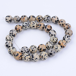 Dalmatian Jasper Natural Dalmatian Jasper Beads Strands, Round, 10~10.5mm, Hole: 1.2mm, about 36pcs/strand, 15.5 inch