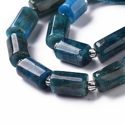 Apatite Natural Apatite Beads Strands, Faceted, Column, 8~11x6~8x5~7mm, Hole: 1mm, about 15~17pcs/strand, 7.28~7.48 inch