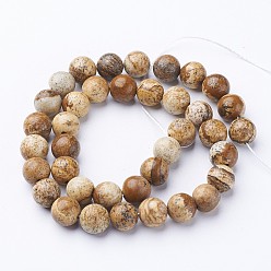 Picture Jasper Gemstone Beads Strands, Natural Picture Jasper, Round, about 8mm in diameter, hole: about 1mm, 15~16 inch