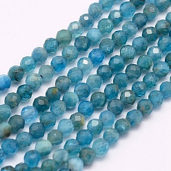Apatite Natural Apatite Beads Strands, Faceted, Round, 3mm, Hole: 0.5mm, about 132pcs/strand, 15.7 inch(40cm)