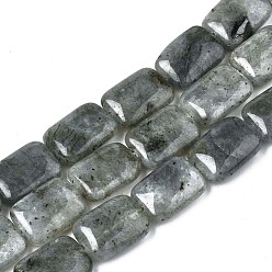 Labradorite Natural Labradorite Beads Strands, Rectangle, 17.5~18.5x13~13.5x6~7mm, Hole: 1mm, about 22pcs/strand, 15.5 inch
