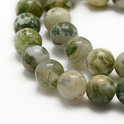 Tree Agate Natural Tree Agate Beads Strands, Round, 10mm, Hole: 1mm, about 38pcs/strand, 15.3 inch(39cm)