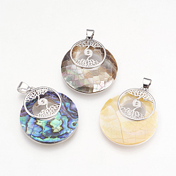 Mixed Shell Shell Pendants, with Platinum Tone Brass Findings, Flat Round with Tree of Life, 32x28x6mm, Hole: 4x5mm