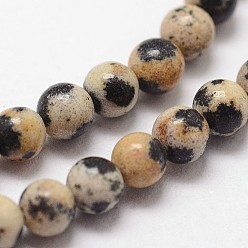 Dalmatian Jasper Natural Dalmatian Jasper Beads Strands, Round, 3mm, Hole: 0.5mm, about 125pcs/strand