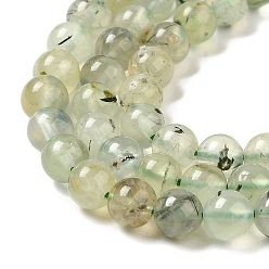 Prehnite Perles naturelles préhnite brins, ronde, 6mm, Trou: 0.8mm, Environ 62~65 pcs/chapelet, 15.3 pouce