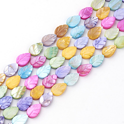 Colorful Natural Freshwater Shell Beads, Dyed, Leaf, Colorful, 14x9x3mm, Hole: 1mm, about 27pcs/strand, 14.6”