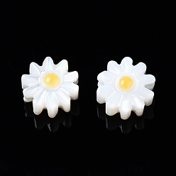 Gold Natural Freshwater Shell Beads, with Enamel, Flower, Gold, 6x3mm, Hole: 0.9mm