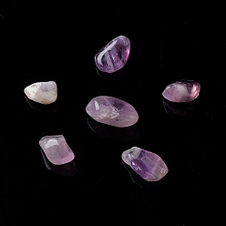 Amethyst Natural Amethyst Chip Beads, No Hole/Undrilled, 5~10.5x5~7x2~4mm