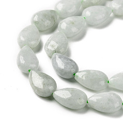 Myanmar Jade Perles de jade du Myanmar naturel / jade birmane, larme, 12x8x5.5mm, Trou: 0.8mm, Environ 34 pcs/chapelet, 15.75 pouce (40 cm)