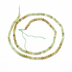 Garnet Natural Green Garnet Beads Strands, Andradite Beads, Faceted, Round, 3mm, Hole: 0.6mm, about 139pcs/strand, 14.96 inch(38cm)