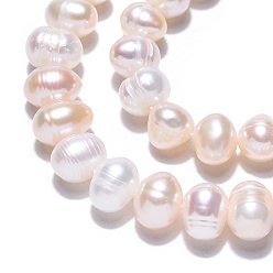 Coquillage De Mer Grade ab brins de perles de culture d'eau douce naturelles, pomme de terre, couleur de coquillage, 6.5~7.5x5~6mm, Trou: 0.8mm, Environ 54~55 pcs/chapelet, 13.39 pouce (34 cm)