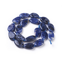 Sodalite Natural Sodalite Beads Strands, Mixed Shapes, 18~30x12~22x5~8mm, Hole: 1~1.2mm, about 14~19pcs/strand, 16.1~16.5 inch(41~42cm)