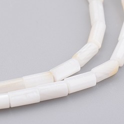Blanc Floral Shell normal de perles brins, teint, colonne, floral blanc, 8x4mm, Trou: 0.5mm, Environ 50 pcs/chapelet, 15.7 pouce