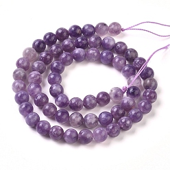 Lepidolite Natural Lepidolite/Purple Mica Stone Beads Strands, Round, 6.5mm, Hole: 0.8mm, about 62pcs/Strand, 15.55 inch(39.5cm)