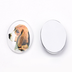 Mixed Color Puppy Photo Flatback Glass Cabochons, for DIY Projects, Dog Pattern, Oval, Mixed Color, 25x18x5.5mm