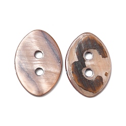 Mixed Color 2-Hole Dyed Natural Shell Buttons, Horse Eye, Mixed Color, 29.5x20.5x2mm, Hole: 3mm