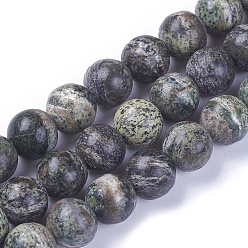 Jaspe Zébré Brins de perles de jaspe vert zèbre naturel, ronde, 8.5~9mm, Trou: 1mm, Environ 46 pcs/chapelet, 15.1 pouce (38.5 cm)