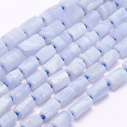 Blue Lace Agate Natural Blue Lace Agate Beads Strands, Grade A, Column, 8~12x7~9x4~8mm, Hole: 1.5mm, about 35pcs/strand, 16.5 inch(42cm)