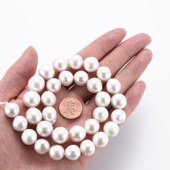 Seashell Color Natural Keshi Pearl Beads Strands, Cultured Freshwater Pearl, Round, Seashell Color, 12~14x9~14mm, Hole: 0.7mm, about 30~32pcs/strand, 16.14 inch(41cm)