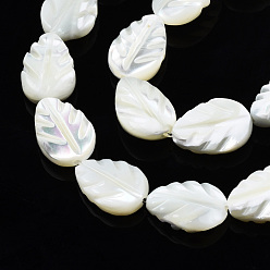 White Natural Trochid Shell/Trochus Shell Beads Strands, Bleach, Leaf, White, 11.5~12x8x3~3.5mm, Hole: 0.8mm, about 34~35pcs/strand, 15.55 inch(39.5~40.6cm)