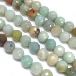 Flower Amazonite Natural Flower Amazonite Beads Strands, Faceted, Round, 6mm, Hole: 1mm, about 60pcs/strand, 14.5 inch