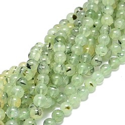 Prehnite Natural Prehnite Beads Strands, Round, 10~10.5mm, Hole: 1mm, about 39pcs/strand, 15.55 inch(39.5cm)