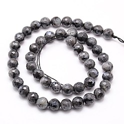 Larvikite Natural Larvikite Beads Strands, Faceted, Round, Gray, 14mm, Hole: 1mm, about 28pcs/strand, 15.75 inch