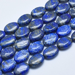 Lapis Lazuli Natural Lapis Lazuli Beads Strands, Oval, 13~14x10~10.5x5~6mm, Hole: 1mm, about 29pcs/strand, 15.5 inch(39.5cm)