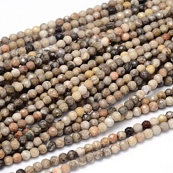 Fossil Coral Natural Fossil Coral Round Bead Strands, Faceted, 4mm, Hole: 1mm, about 98pcs/strand, 16 inch