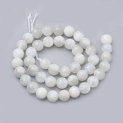 Rainbow Moonstone Natural Rainbow Moonstone Beads Strands, Round, 6~7mm, Hole: 1mm, about 60~67pcs/strand, 15.7 inch