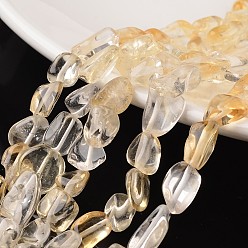 Citrine Nuggets citrine naturelle rangées de perles, 9~15x8~12x5~8mm, Trou: 1mm, environ 15.7 pouce