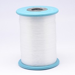 Clear Nylon Wire, Fishing Thread, Clear, 0.6mm, about 678.04 yards(620m)/roll
