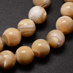 Saumon Clair Naturelles coquillage perles brins, ronde, saumon clair, 8mm, Trou: 0.8mm, Environ 51 pcs/chapelet, 15.75 pouce