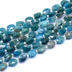 Apatite Natural Apatite Beads Strands, Faceted, Oval, 7~7.5x6~6.5x3.5~4mm, Hole: 1mm, about 43pcs/strand, 15.55 inch(39.5cm)