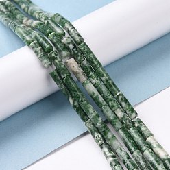 Pierre Avec Point Vert Perles de jaspe tache verte naturelle, colonne, 4x13~14mm, Trou: 1.2mm, Environ 29 pcs/chapelet, 15.39'' (39.1 cm)