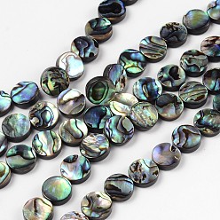 Colorful Natural Abalone Shell/Paua Shell Beads Strands, Flat Round, Colorful, 10x3mm, Hole: 0.5mm, about 40pcs/strand, 16 inch