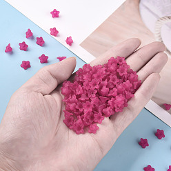 Deep Pink Transparent Acrylic Beads, Flower, Frosted, Deep Pink, 12x7mm, Hole: 1mm, about 4600pcs/500g