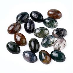 Moss Agate Natural Indian Agate, Flat Back, Oval, 14x10x5mm