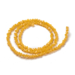 Goldenrod Glass Beads Strands, Imitation Jade Glass, Faceted, Polygon, Goldenrod, 2.5x2.5x2.5mm, Hole: 0.7mm, about 150pcs/strand, 13.39''(34cm)