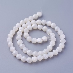 Other Sea Shell Shell Beads Strands, Faceted, Round, 6~6.5mm, Hole: 0.8mm, about 59pcs/strand, 14.84 inch(37.7cm)