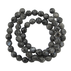 Larvikite Brins de perles de larvikite naturelles, facettes (128 facettes) rondes, environ 6 mm de diamètre, Trou: 0.8mm, 63 pcs/ brin, 15 pouce