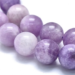 Lepidolite Natural Lepidolite/Purple Mica Stone Beads Strands, Round, 9.5~10mm, Hole: 0.8mm, about 40pcs/strand, 14.96 inch(38cm)