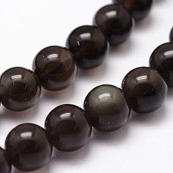 Coconut Brown Natural Obsidian Beads Strands, Grade AAA, Round, Coconut Brown, 8mm, Hole: 1mm, about 49pcs/strand, 15.7 inch