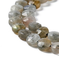 Labradorite Natural Labradorite Beads Strands, Faceted, Flat Round, 5.5~6x3.5mm, Hole: 1mm, about 70pcs/strand, 14.88''(37.8cm)