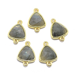 Labradorite Natural Labradorite Links connectors, with Golden Tone Brass Findings, Triangle, Faceted, 17~18x11~13x4~6mm, Hole: 1.2mm