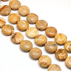 Picture Jasper Natural Flat Round Picture Jasper Beads Strands, 20x7~9mm, Hole: 1mm, about 20pcs/strand, 15.74 inch