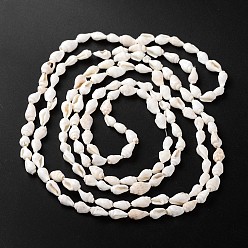 Other Sea Shell Natural Sea Shell Conch Bead Strands, 5.5~12.5mm, Hole: 1~2mm, about 135~145pcs/strand, 54~58.3 inch